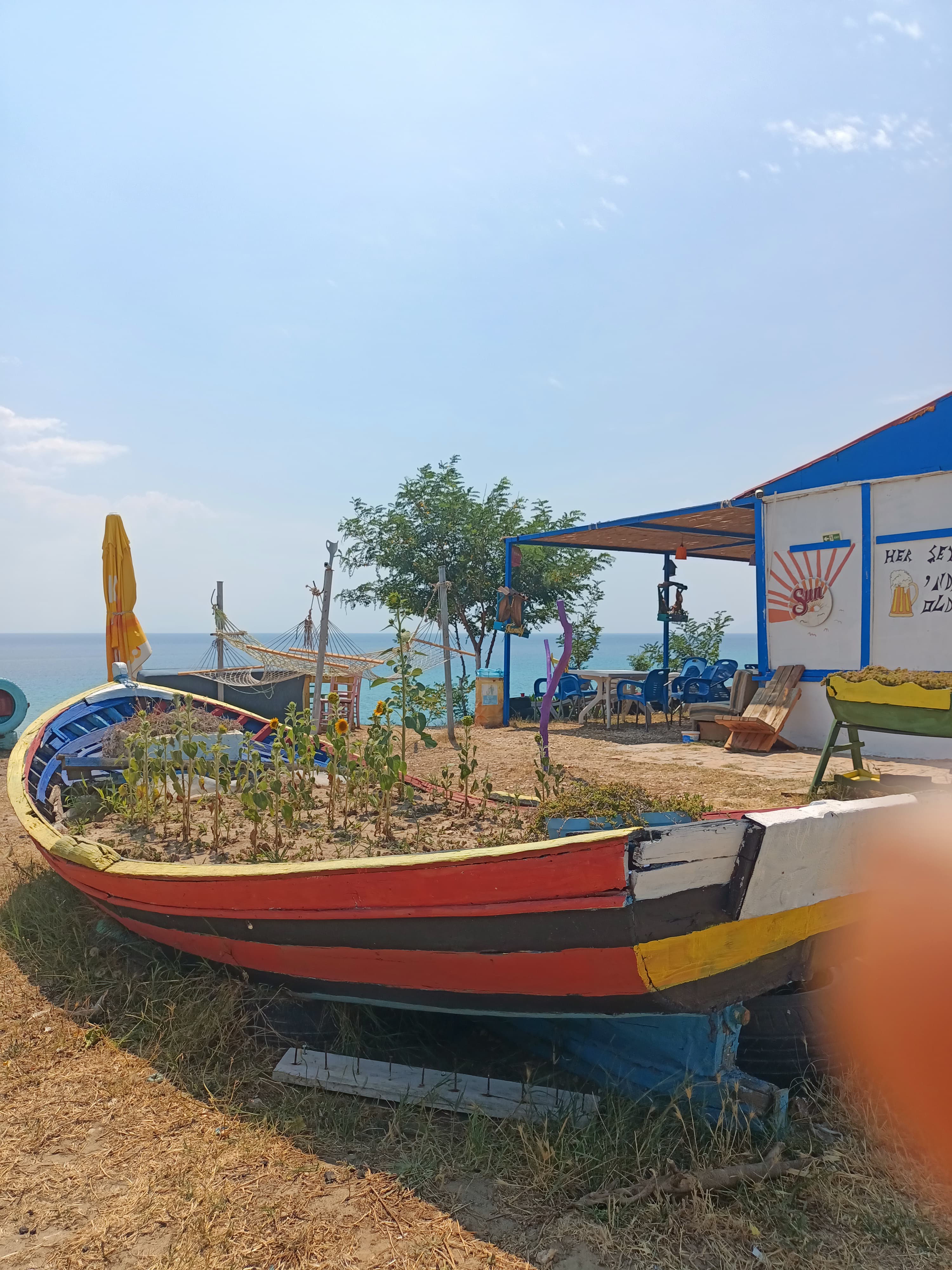 Kamp Alanı Genel Görünüm